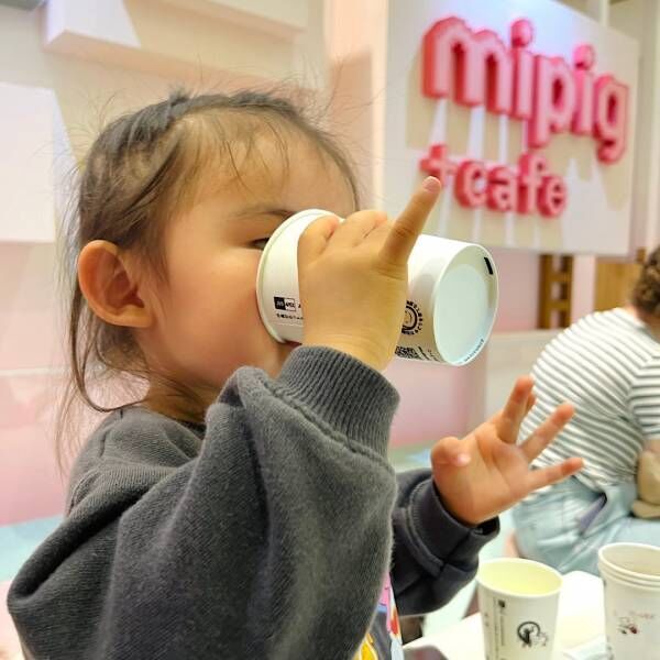 マイクロブタと触れ合える！！子どもOKのマイクロブタカフェ「mipig cafe」レポ！ | HugMug