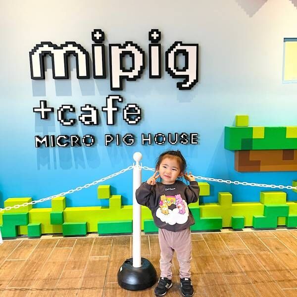 マイクロブタと触れ合える！！子どもOKのマイクロブタカフェ「mipig cafe」レポ！ | HugMug