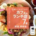 原宿＆表参道駅周辺【センスのいいママ＆パパがおすすめするカフェ＆ランチ店７選】 | HugMug