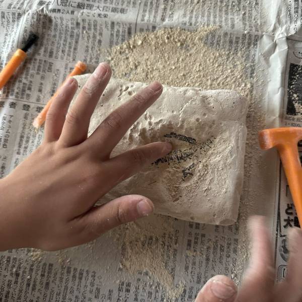 1000円ちょいで本格的な発掘ができる！DR.STEVE HUNTERS 『恐竜発掘キット』がおすすめ | HugMug