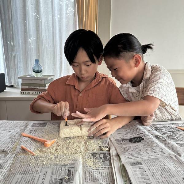 1000円ちょいで本格的な発掘ができる！DR.STEVE HUNTERS 『恐竜発掘キット』がおすすめ | HugMug