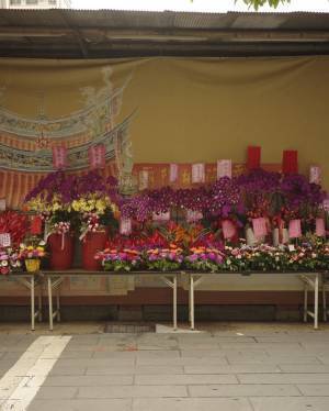 「長女と台湾の旅へ」平野みかほの『子どもと、私と、らしさと』Vol.3 | HugMug