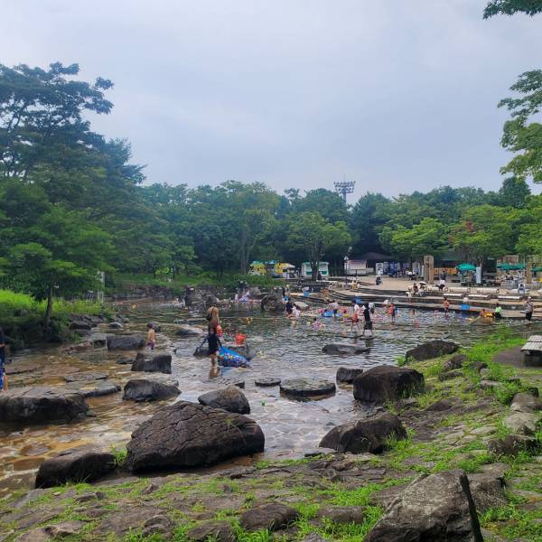 ４歳未満&amp;駐車場無料！水遊びからゴーカート、BBQまで一日中遊び尽くせる『府中市郷土の森』 | HugMug