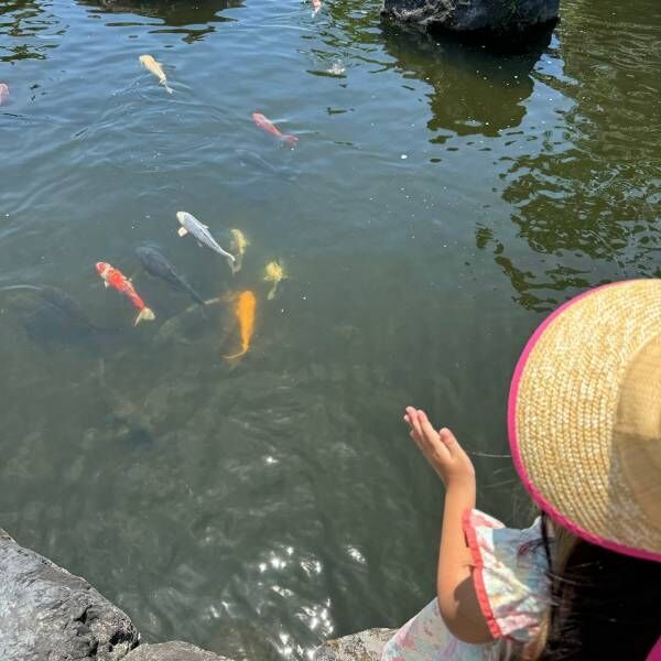 【地元民激推し】愛知でひつまぶしを食べるなら絶対ここ！大人気の鰻屋さん「三水亭」 | HugMug