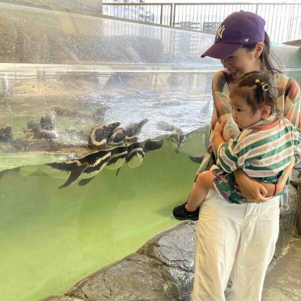 4歳未満無料！水族館デビューにも！【しながわ水族館】1歳児ママの子連れお出かけレポート | HugMug