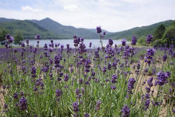 「北海道へ保育園留学＆移住体験～後編～」高山直子の“愛すべき日々のこと” Vol.27 | HugMug