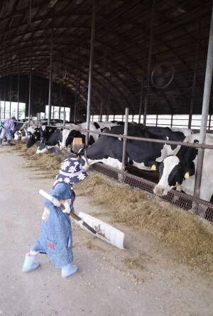 「北海道へ保育園留学＆移住体験～後編～」高山直子の“愛すべき日々のこと” Vol.27 | HugMug