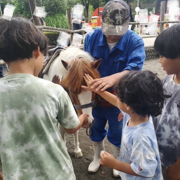 川遊びやふれあい牧場、BBQと一日中遊べる！子連れにおすすめの『夕やけ小やけふれあいの里』 | HugMug