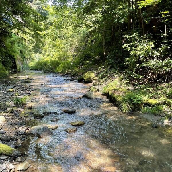 都内から車で1時間！BBQや川遊びを子連れで楽しめる夏休み「相模湖」旅行レポ！ | HugMug