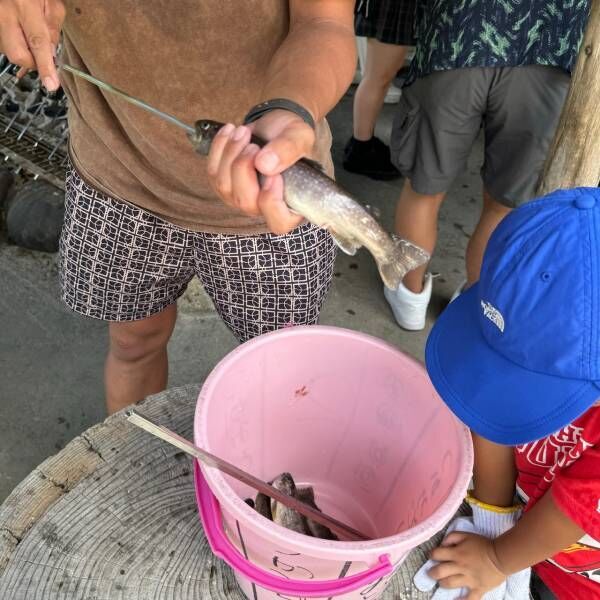 つかみ取りして釣って食べる！！岐阜県「あくだ渓流苑」がめちゃくちゃ楽しい！ | HugMug