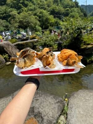 つかみ取りして釣って食べる！！岐阜県「あくだ渓流苑」がめちゃくちゃ楽しい！ | HugMug