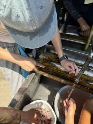 つかみ取りして釣って食べる！！岐阜県「あくだ渓流苑」がめちゃくちゃ楽しい！ | HugMug