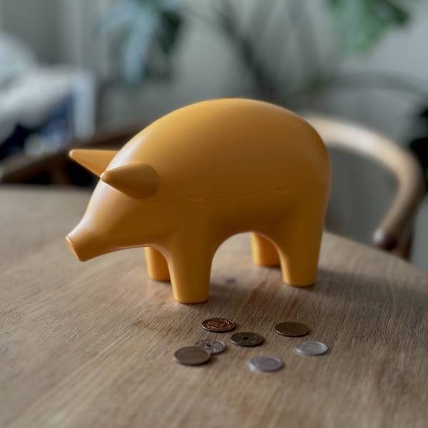 100均と夢のコラボ【キャンドゥ×D&amp;DEPARTMENT】絶対買いな可愛すぎるアイテム紹介 | HugMug