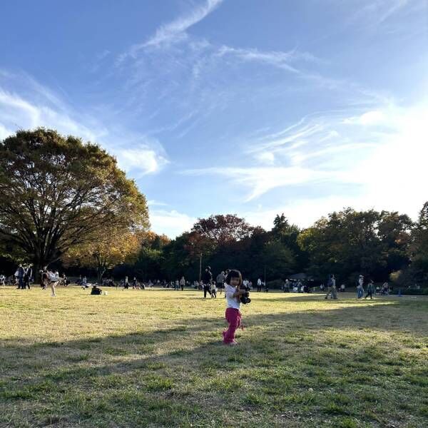 イチョウ並木も見頃！【昭和記念公園】の紅葉を子連れで楽しもう | HugMug