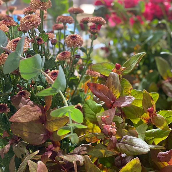 【鵜の木】花屋「hitoe.」がおしゃれでおすすめ！クリスマスリースの販売も | HugMug