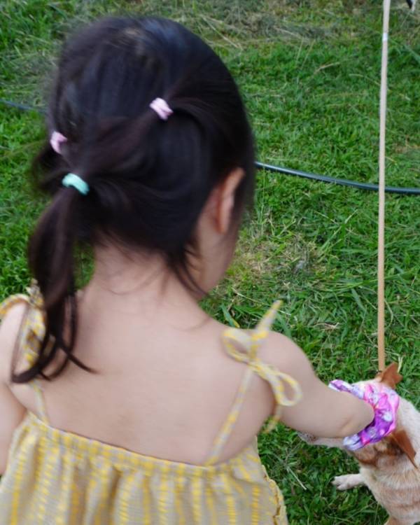 【簡単】ゴムだけでできる！キッズヘアアレンジで南国気分を楽しもう | HugMug