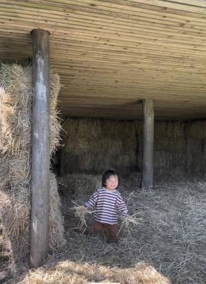 子連れデンマーク旅【後編①】ヘアメイク・村上 綾さん“学びの旅” | HugMug