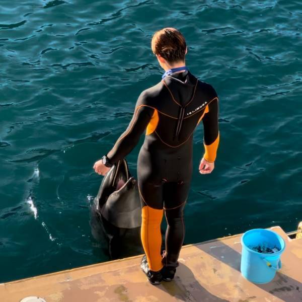 【下田海中水族館】大迫力イルカショー＆可愛いコツメカワウソと触れ合える！静岡の子連れお出かけ | HugMug