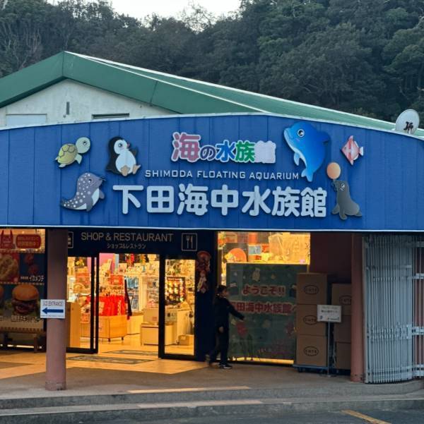 【下田海中水族館】大迫力イルカショー＆可愛いコツメカワウソと触れ合える！静岡の子連れお出かけ | HugMug