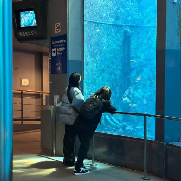 【下田海中水族館】大迫力イルカショー＆可愛いコツメカワウソと触れ合える！静岡の子連れお出かけ | HugMug