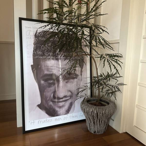 【栃木県佐野市】観葉植物好きに絶対おすすめ！センスのいい植物が購入できるお店をご紹介 | HugMug