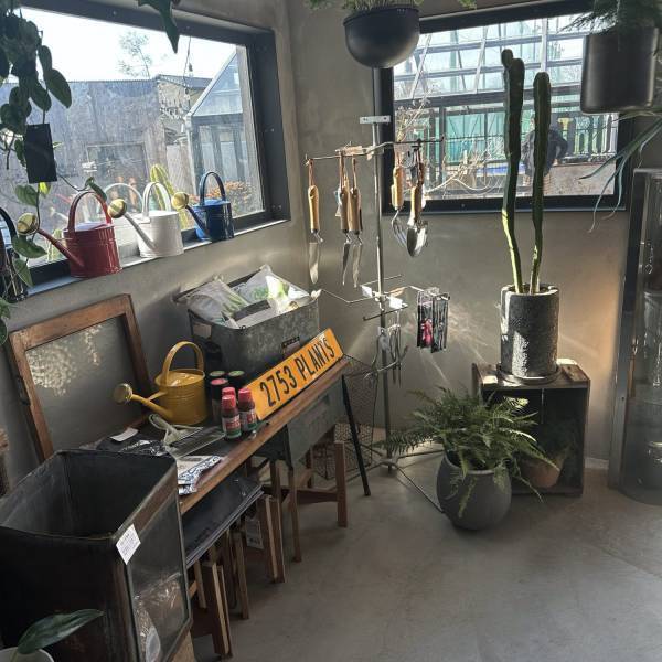 【栃木県佐野市】観葉植物好きに絶対おすすめ！センスのいい植物が購入できるお店をご紹介 | HugMug