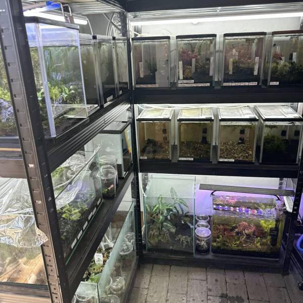 【栃木県佐野市】観葉植物好きに絶対おすすめ！センスのいい植物が購入できるお店をご紹介 | HugMug