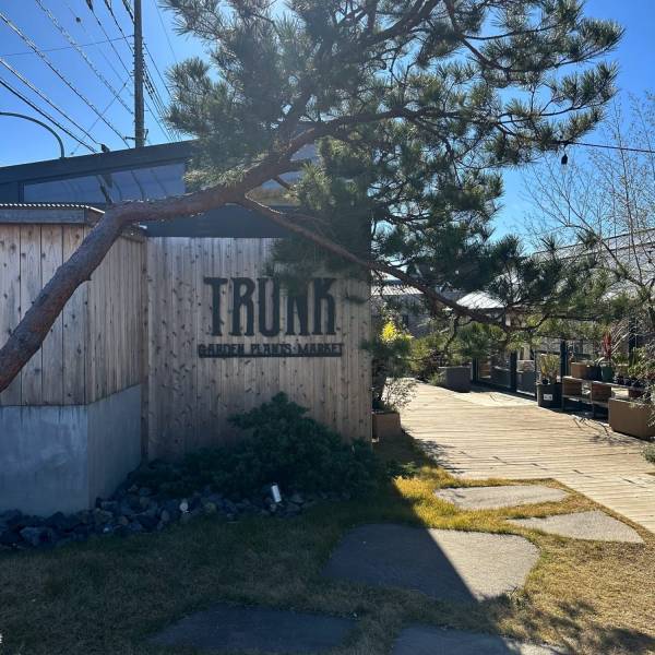 【栃木県佐野市】観葉植物好きに絶対おすすめ！センスのいい植物が購入できるお店をご紹介 | HugMug