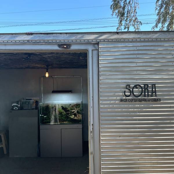 【栃木県佐野市】観葉植物好きに絶対おすすめ！センスのいい植物が購入できるお店をご紹介 | HugMug