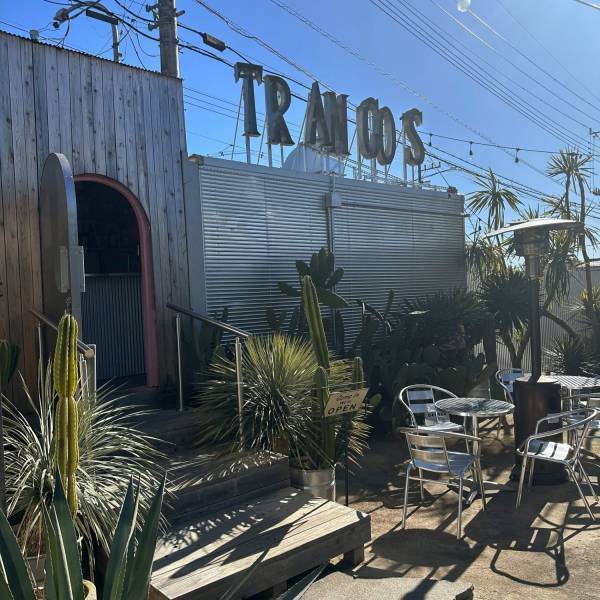 【栃木県佐野市】観葉植物好きに絶対おすすめ！センスのいい植物が購入できるお店をご紹介 | HugMug