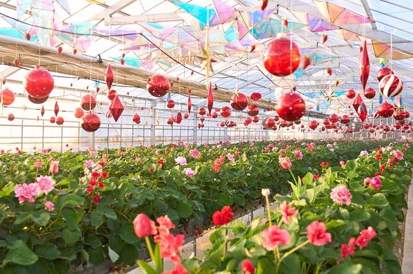 2月に行きたい遊び場＆イベント7選【関東】 | HugMug