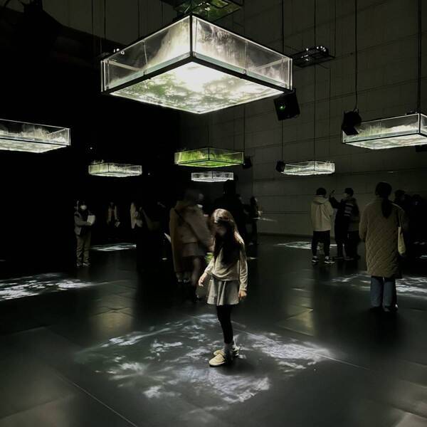 【小学生以下無料】東京都現代美術館の「坂本龍一展」を親子で楽しむ方法 | HugMug