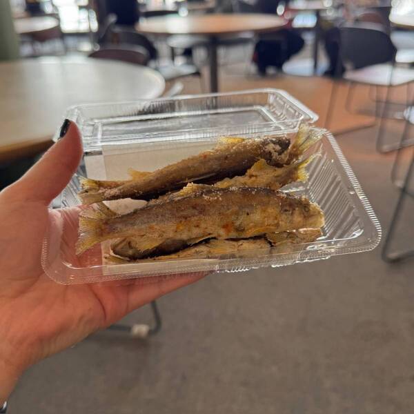 子どもの雪山デビューは【ウイングヒルズ白鳥リゾート】が正解！スキー・スノボ体験レッスン&amp;キッズゲレンデ | HugMug