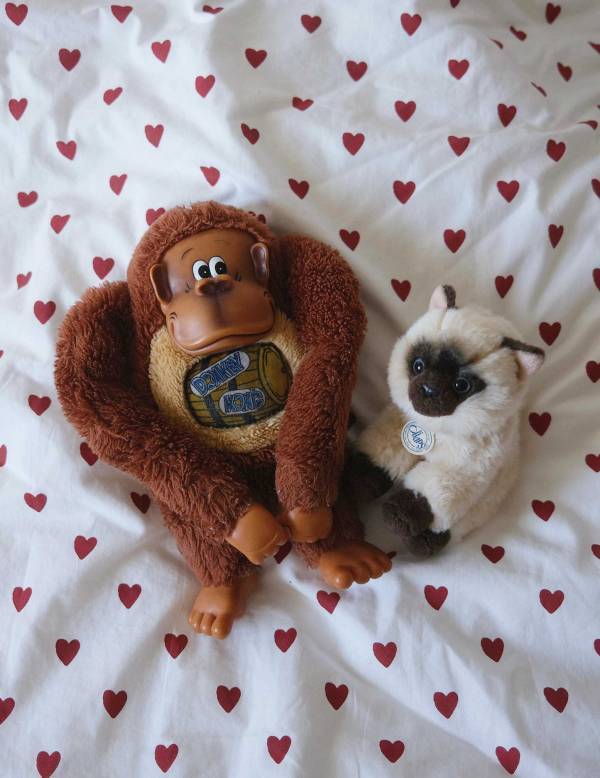 わが家の相棒をお披露目♡【ぬいぐるみSNAP8選】 | HugMug