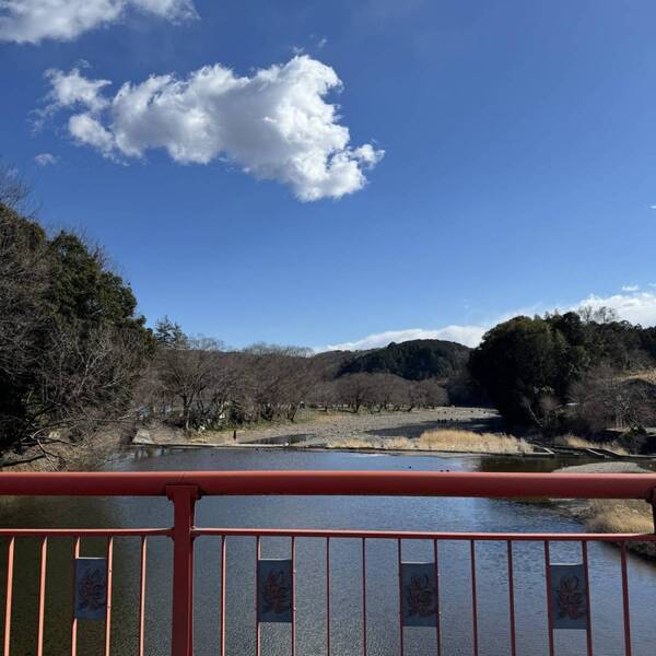 【登山初心者向け】日和田山ハイキングが子連れにおすすめ！ | HugMug