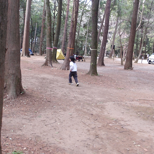 初デイキャンプ！都心から60分の【RECAMPしょうなん】が子連れにおすすめ | HugMug