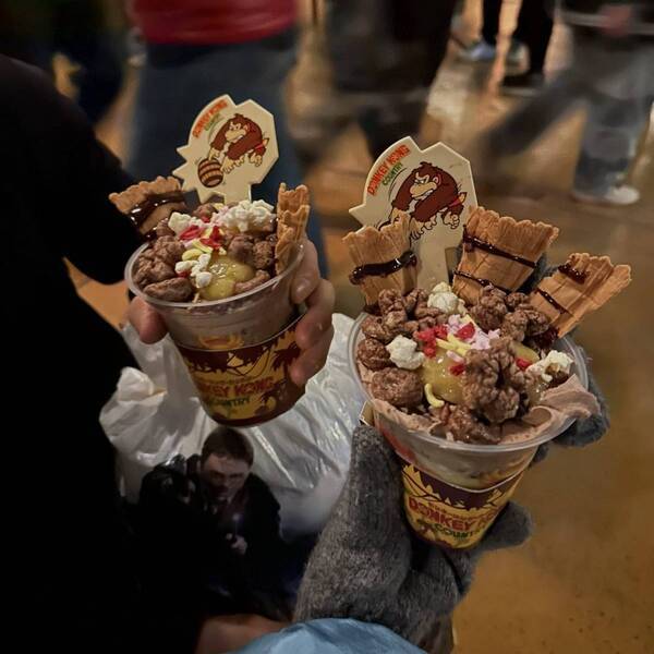 【子連れUSJ】新エリア「ドンキーコング・カントリー」攻略法をレポート！ | HugMug