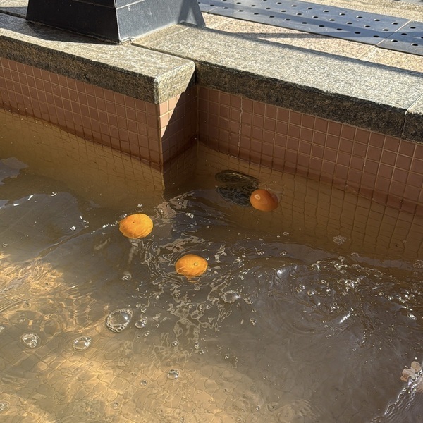 最高な景色と足湯が楽しめる！カフェ「si no no me」が最高すぎる | HugMug