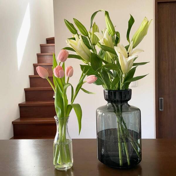 【コストコ】3月のマストバイ！ わが家の定番購入品をご紹介 | HugMug