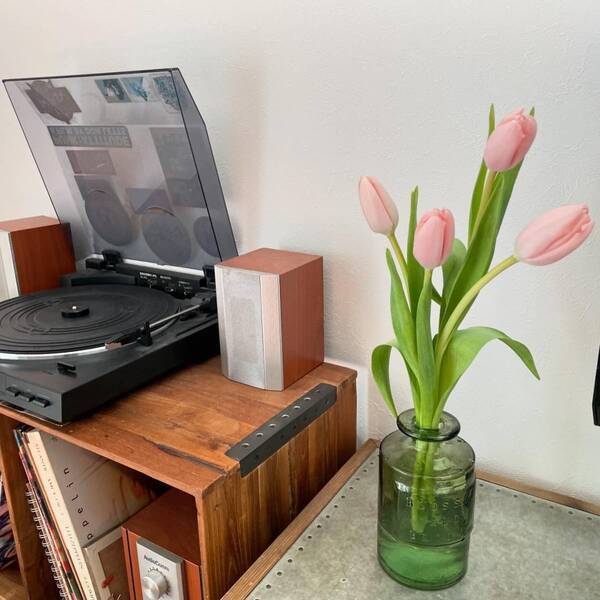 【コストコ】3月のマストバイ！ わが家の定番購入品をご紹介 | HugMug