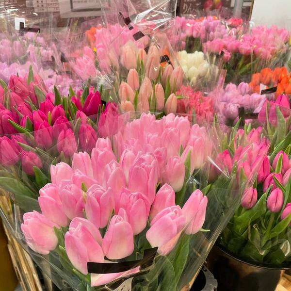 【コストコ】3月のマストバイ！ わが家の定番購入品をご紹介 | HugMug