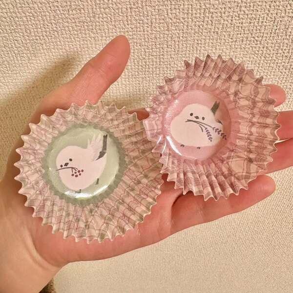 ハマる人続出！【Seria新商品】シマエナガのお弁当グッズが可愛い！入学前準備にも | HugMug