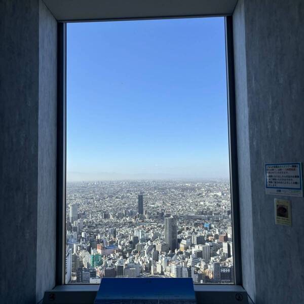 カフェからプレイスペースまで！絶景を望める【てんぼうパーク】がベビー連れに嬉しい | HugMug