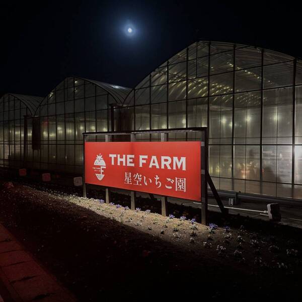【千葉】夜のいちご狩り！？ 40分食べ放題の「THE FARM 星空いちご園」がおすすめ | HugMug