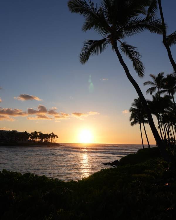 ホノルル空港からハワイ島コナへ乗継ぎ！ レンタカー利用がおすすめ | HugMug