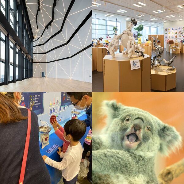 4月に行きたい遊び場＆イベント7選【関東】 | HugMug