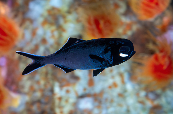 4月に行きたい遊び場＆イベント7選【関東】 | HugMug