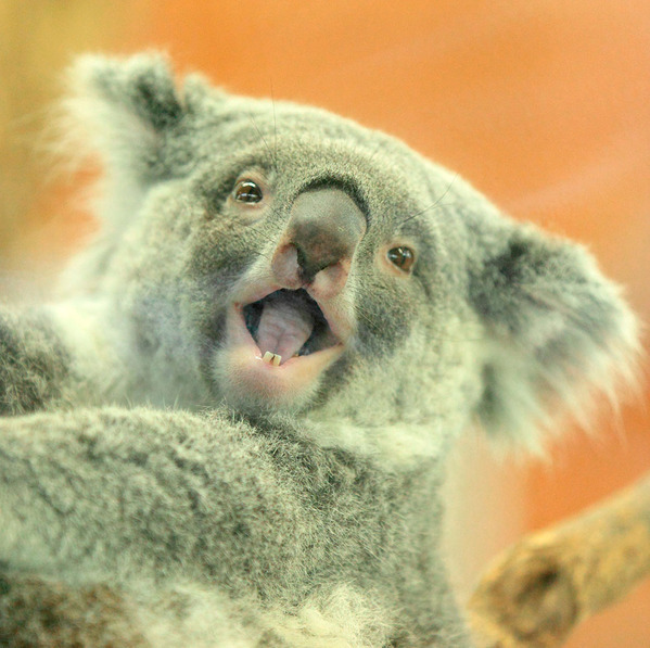 4月に行きたい遊び場＆イベント7選【関東】 | HugMug