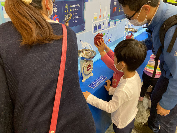 4月に行きたい遊び場＆イベント7選【関東】 | HugMug