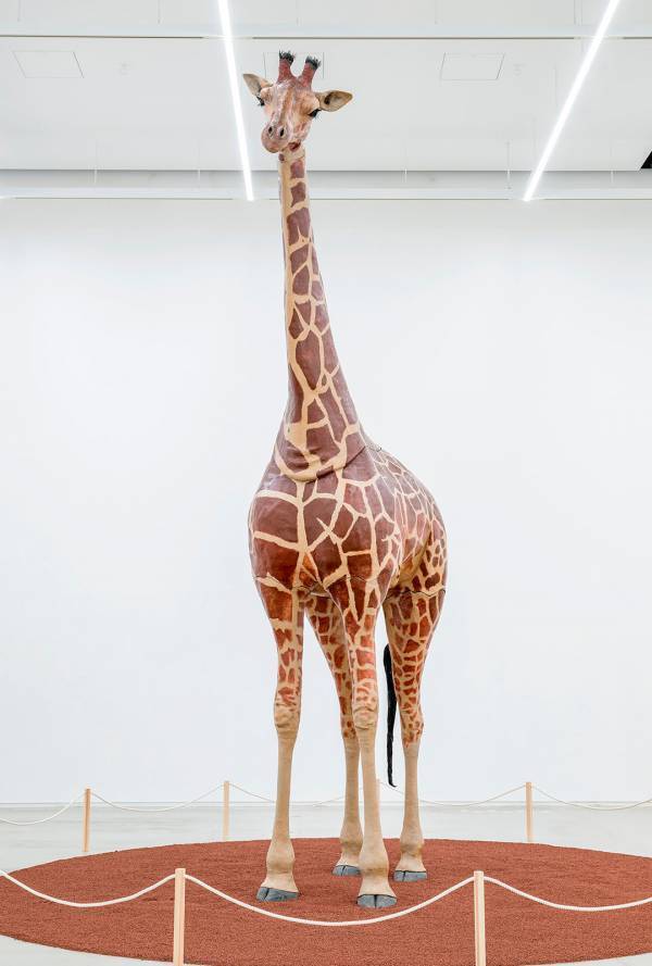 4月に行きたい遊び場＆イベント7選【関東】 | HugMug